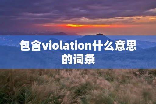 包含violation什么意思的词条