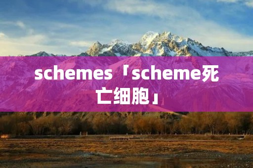schemes「scheme死亡细胞」