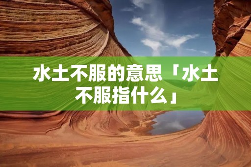 水土不服的意思「水土不服指什么」
