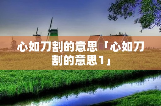 心如刀割的意思「心如刀割的意思1」