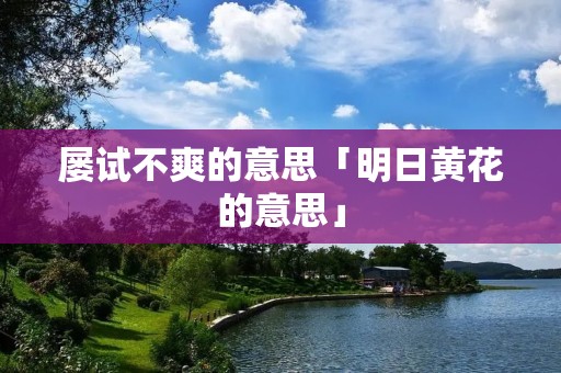 屡试不爽的意思「明日黄花的意思」