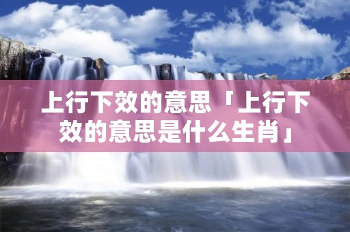 上行下效的意思「上行下效的意思是什么生肖」