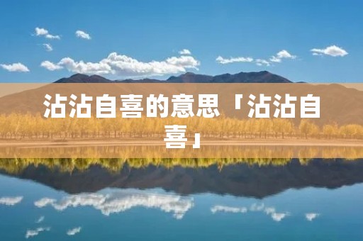 沾沾自喜的意思「沾沾自喜」
