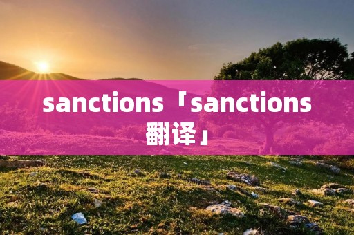 sanctions「sanctions翻译」