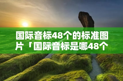 国际音标48个的标准图片「国际音标是哪48个」 国际音标48个的标准图片「国际音标是哪48个」