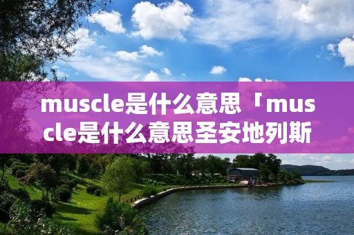 muscle是什么意思「muscle是什么意思圣安地列斯」