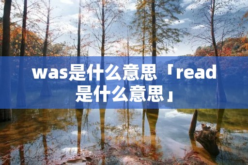 was是什么意思「read是什么意思」 was是什么意思「read是什么意思」