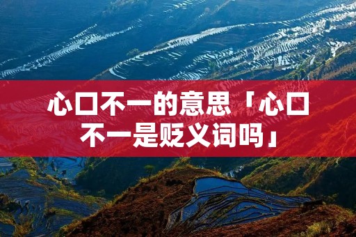 心口不一的意思「心口不一是贬义词吗」