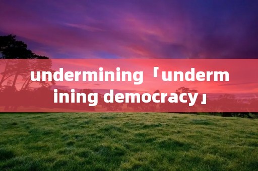 undermining「undermining democracy」 undermining「undermining democracy」