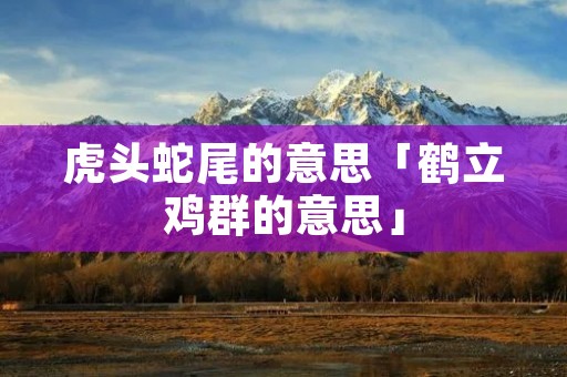 虎头蛇尾的意思「鹤立鸡群的意思」
