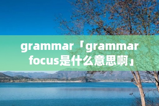 grammar「grammar focus是什么意思啊」