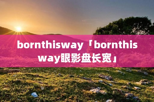 bornthisway「bornthisway眼影盘长宽」
