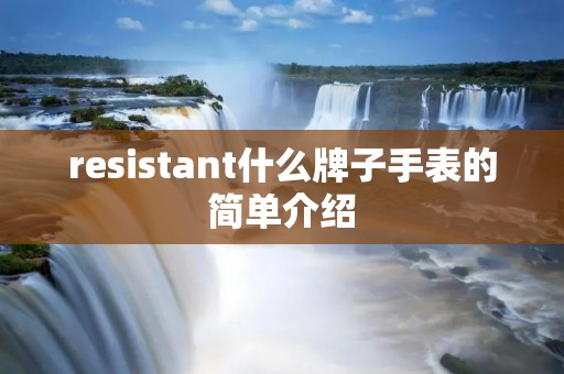 resistant什么牌子手表的简单介绍