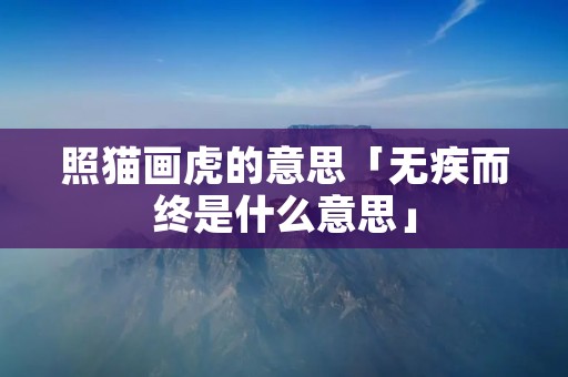 照猫画虎的意思「无疾而终是什么意思」