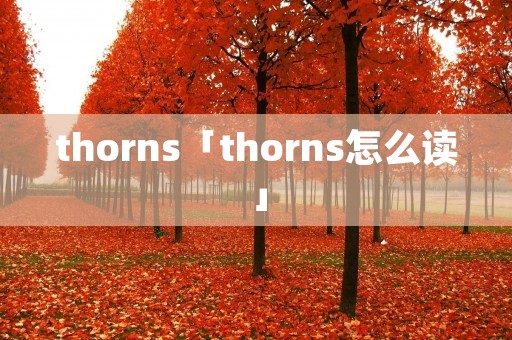 thorns「thorns怎么读」