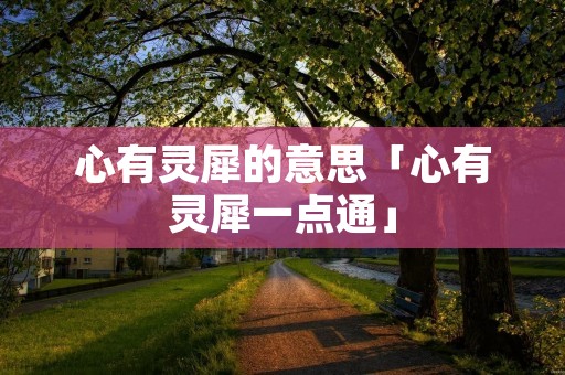 心有灵犀的意思「心有灵犀一点通」