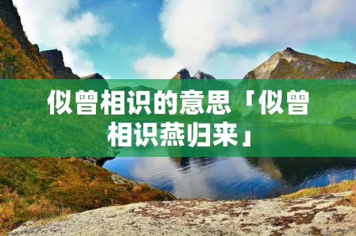 似曾相识的意思「似曾相识燕归来」