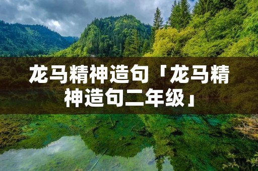 龙马精神造句「龙马精神造句二年级」
