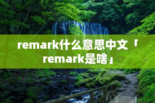 remark什么意思中文「remark是啥」