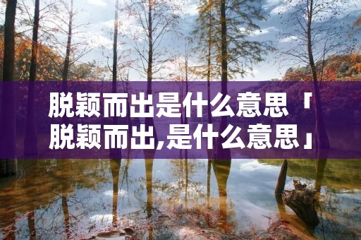 脱颖而出是什么意思「脱颖而出,是什么意思」