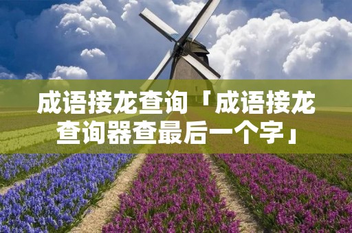成语接龙查询「成语接龙查询器查最后一个字」