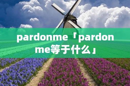 pardonme「pardonme等于什么」
