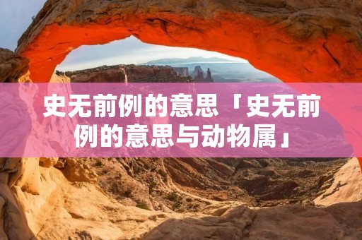 史无前例的意思「史无前例的意思与动物属」