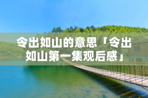 令出如山的意思「令出如山第一集观后感」