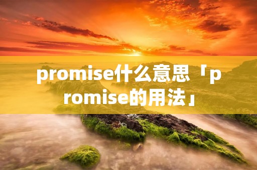 promise什么意思「promise的用法」 promise什么意思「promise的用法」