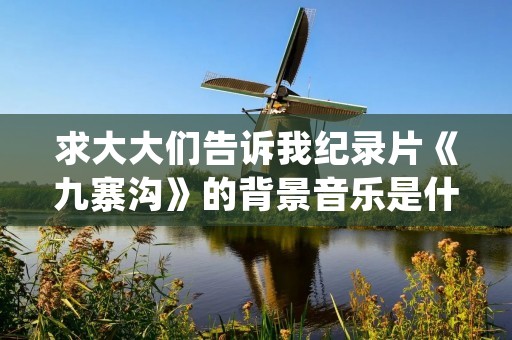 求大大们告诉我纪录片《九寨沟》的背景音乐是什么