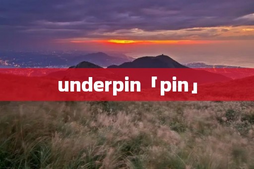 underpin「pin」 underpin「pin」