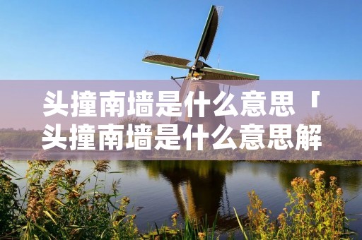 头撞南墙是什么意思「头撞南墙是什么意思解释一下」