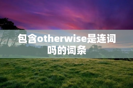 包含otherwise是连词吗的词条