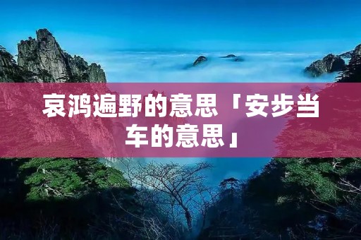 哀鸿遍野的意思「安步当车的意思」 哀鸿遍野的意思「安步当车的意思」