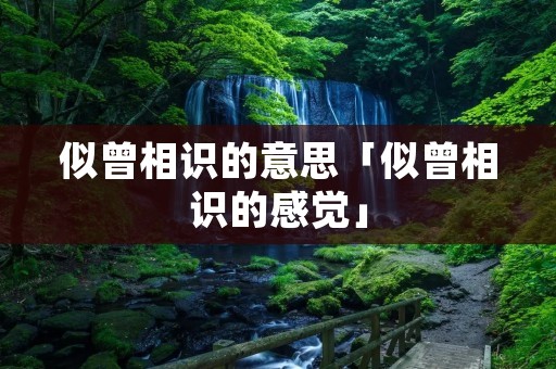 似曾相识的意思「似曾相识的感觉」