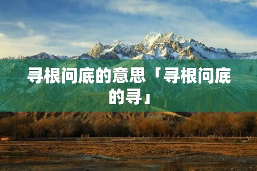寻根问底的意思「寻根问底的寻」