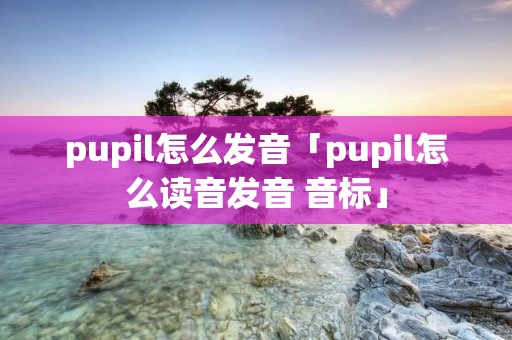 pupil怎么发音「pupil怎么读音发音 音标」
