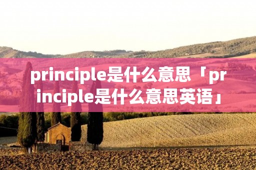 principle是什么意思「principle是什么意思英语」