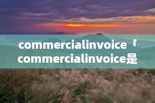 commercialinvoice「commercialinvoice是什么应用」 commercialinvoice「commercialinvoice是什么应用」