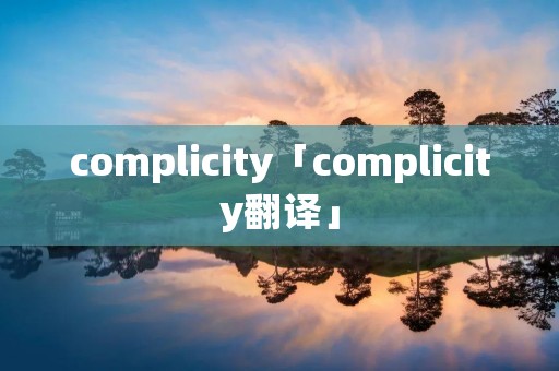 complicity「complicity翻译」