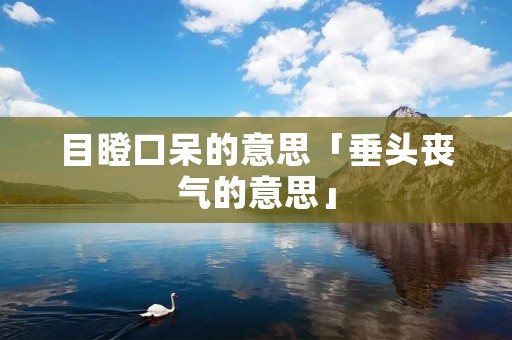 目瞪口呆的意思「垂头丧气的意思」