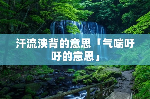 汗流浃背的意思「气喘吁吁的意思」