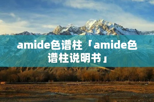 amide色谱柱「amide色谱柱说明书」
