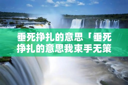 垂死挣扎的意思「垂死挣扎的意思我束手无策」