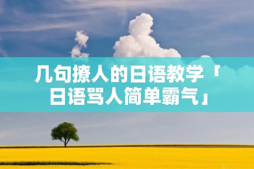 几句撩人的日语教学「日语骂人简单霸气」 几句撩人的日语教学「日语骂人简单霸气」