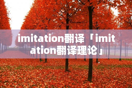 imitation翻译「imitation翻译理论」