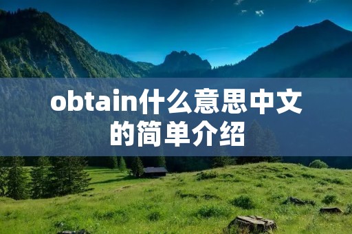 obtain什么意思中文的简单介绍