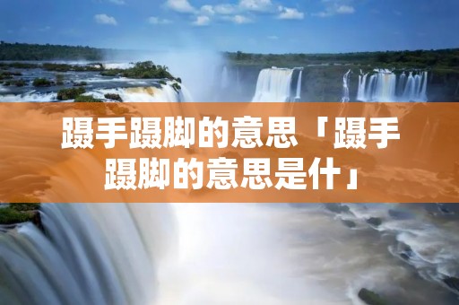 蹑手蹑脚的意思「蹑手蹑脚的意思是什」