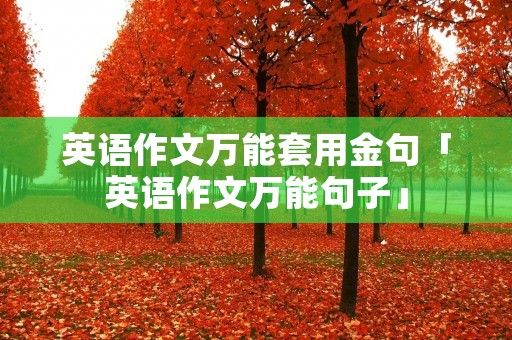 英语作文万能套用金句「英语作文万能句子」