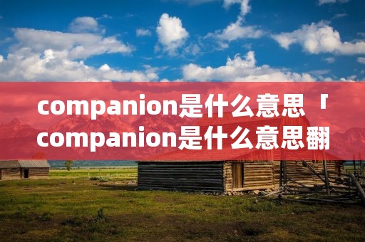 companion是什么意思「companion是什么意思翻译成中文」